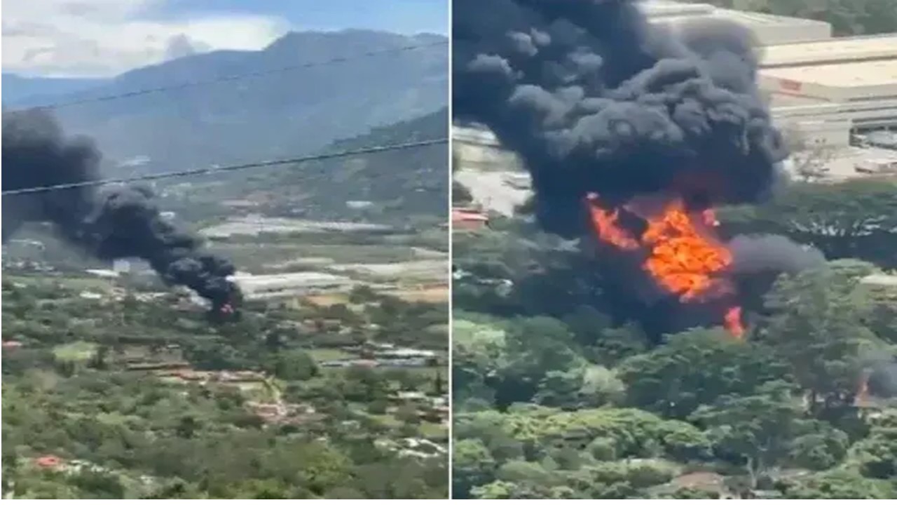 Hallan dos perros muertos durante inspección tras incendio en refugio de Girardota
